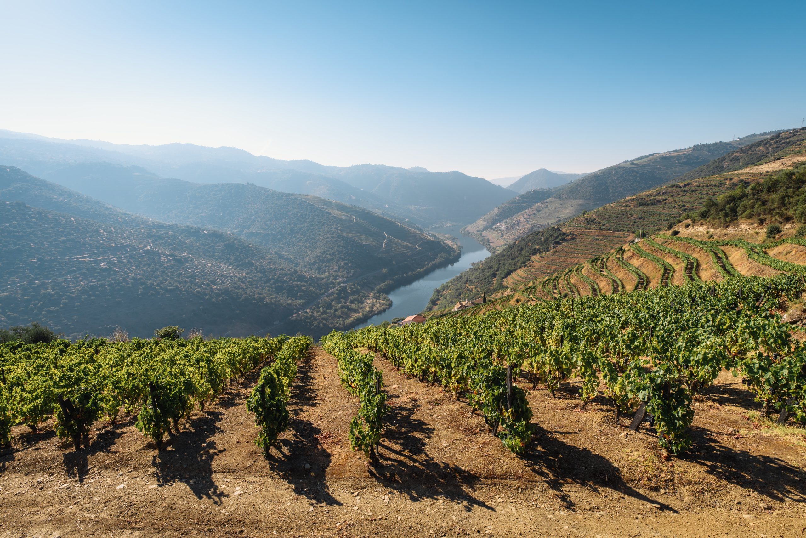Douro Vadisi
