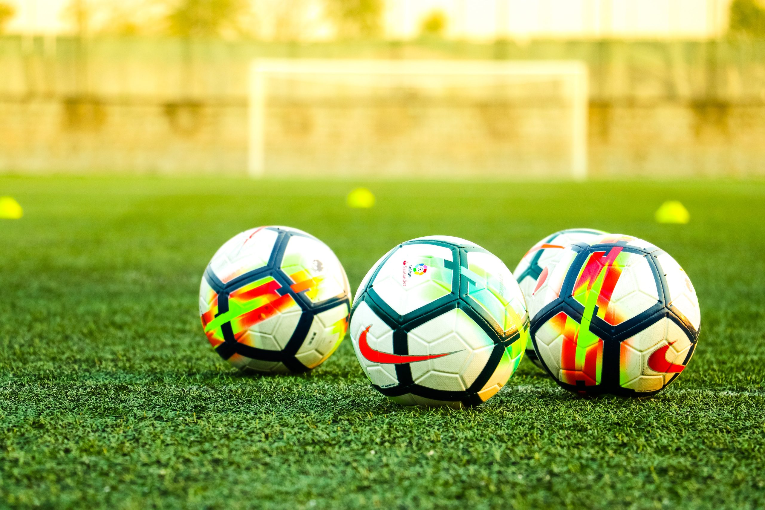Portekiz Milli Futbol Takımı