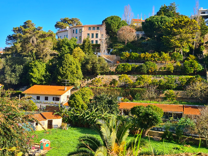 Cascais'teki Ribeira Das Vinhas Trail'i keşfedin 