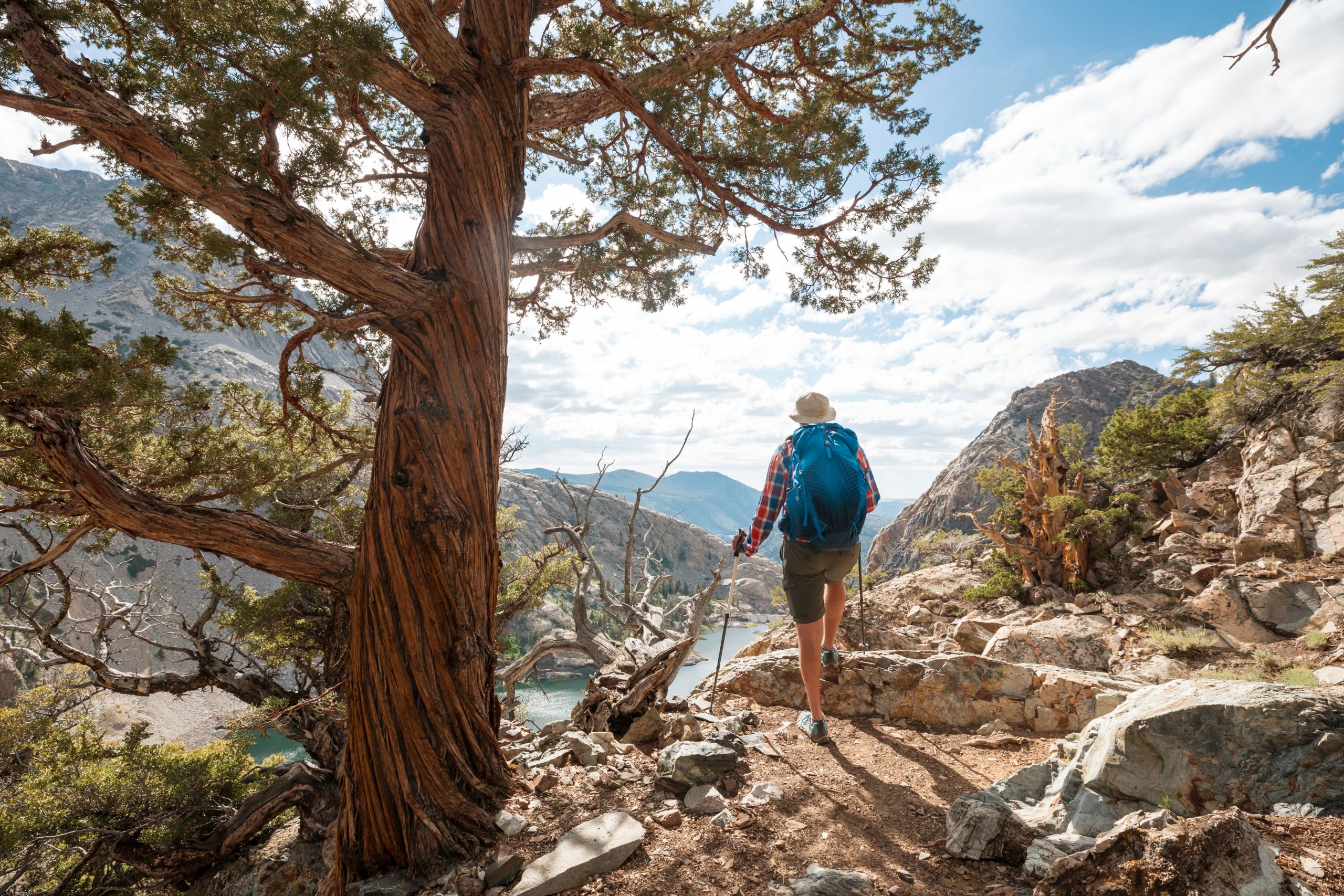 Bu Yosemite benzeri, çarpıcı granit zirvelere, serin alpin göllerine ve kitapları kolay kamp alanlarına sahiptir