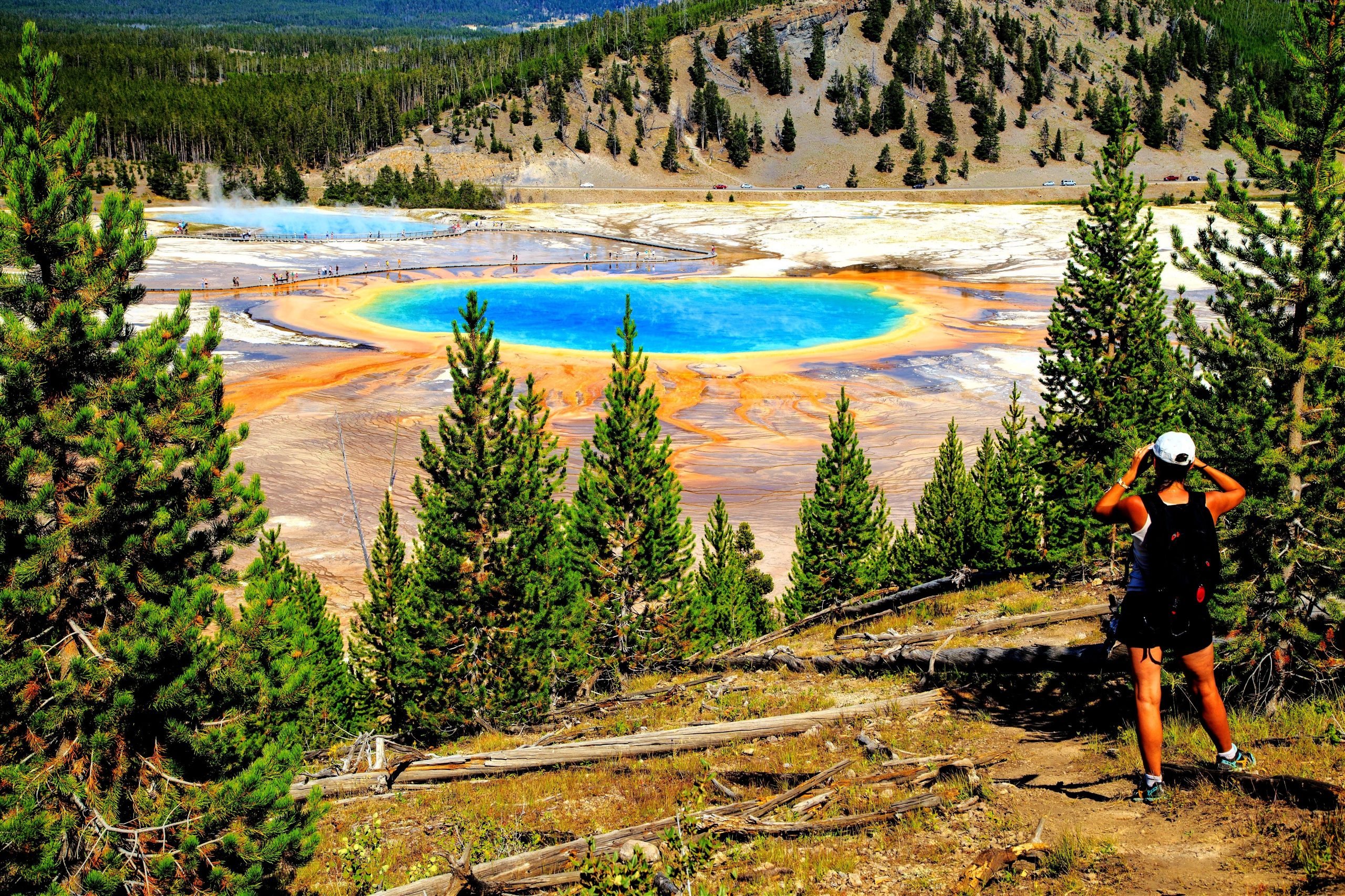 “Bilmiyordum:” Yellowstone ziyaretçisi, önemli yasağı görmezden geldiği için altı ay hapis cezasına çarptırılabilir