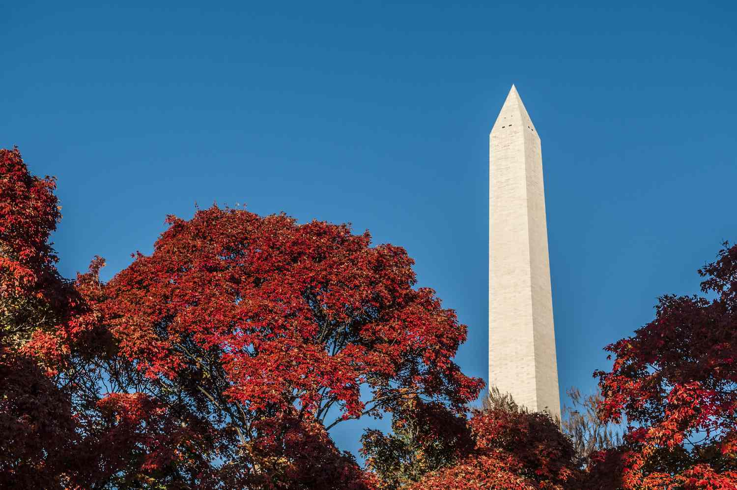 Washington, DC, bölgedeki Ekim festivalleri ve etkinlikleri
