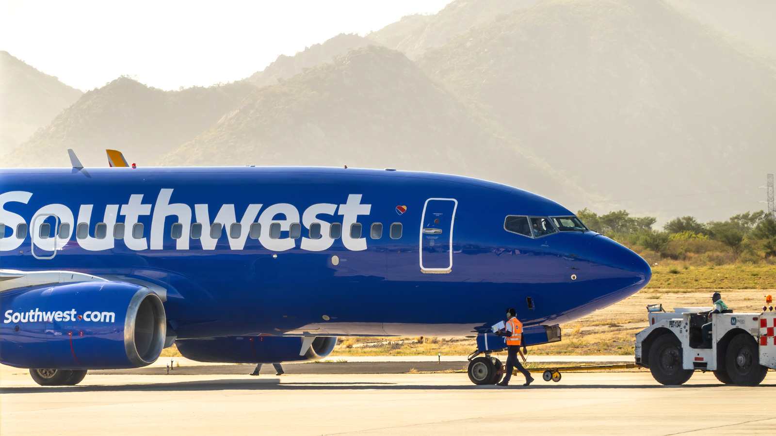 Southwest Havayolları, Bir Uçuşun Viral Olması Sonrası Bu 'İnsan Benzeri' Teknolojiyi Yasakladı